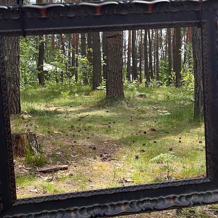 Gora Spokoju Osada Klimatyczna-Lesna Inowlodz Exteriör bild