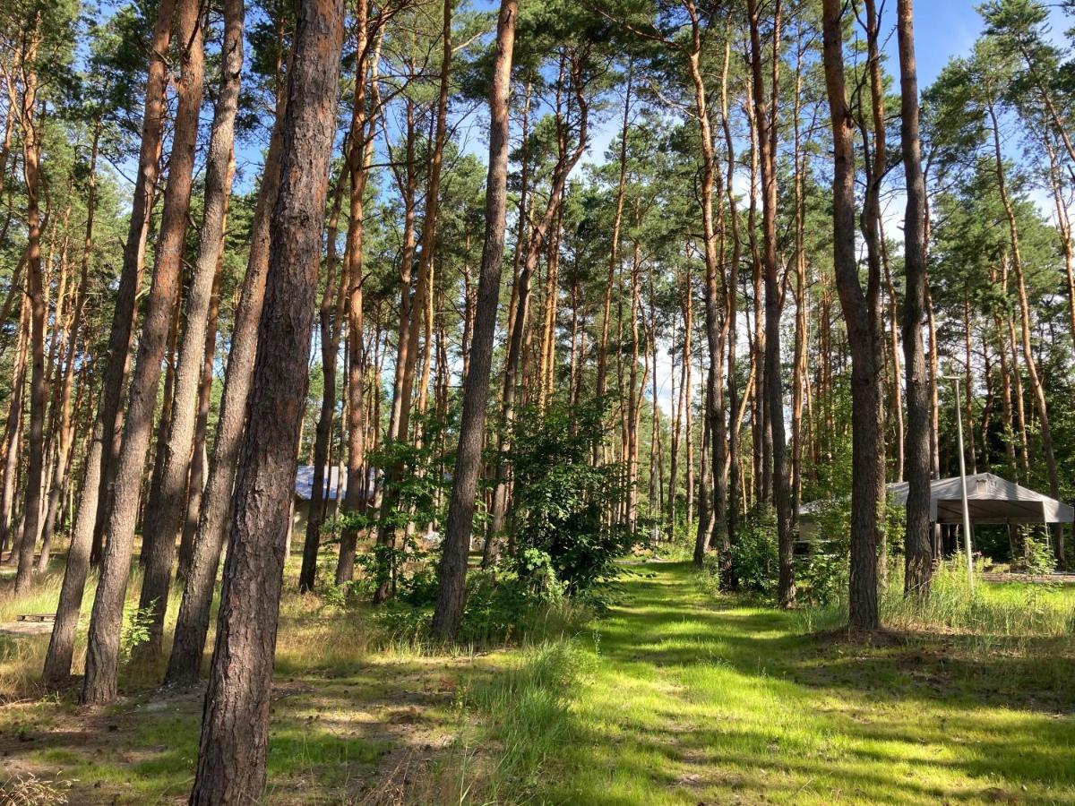 Gora Spokoju Osada Klimatyczna-Lesna Inowlodz Exteriör bild
