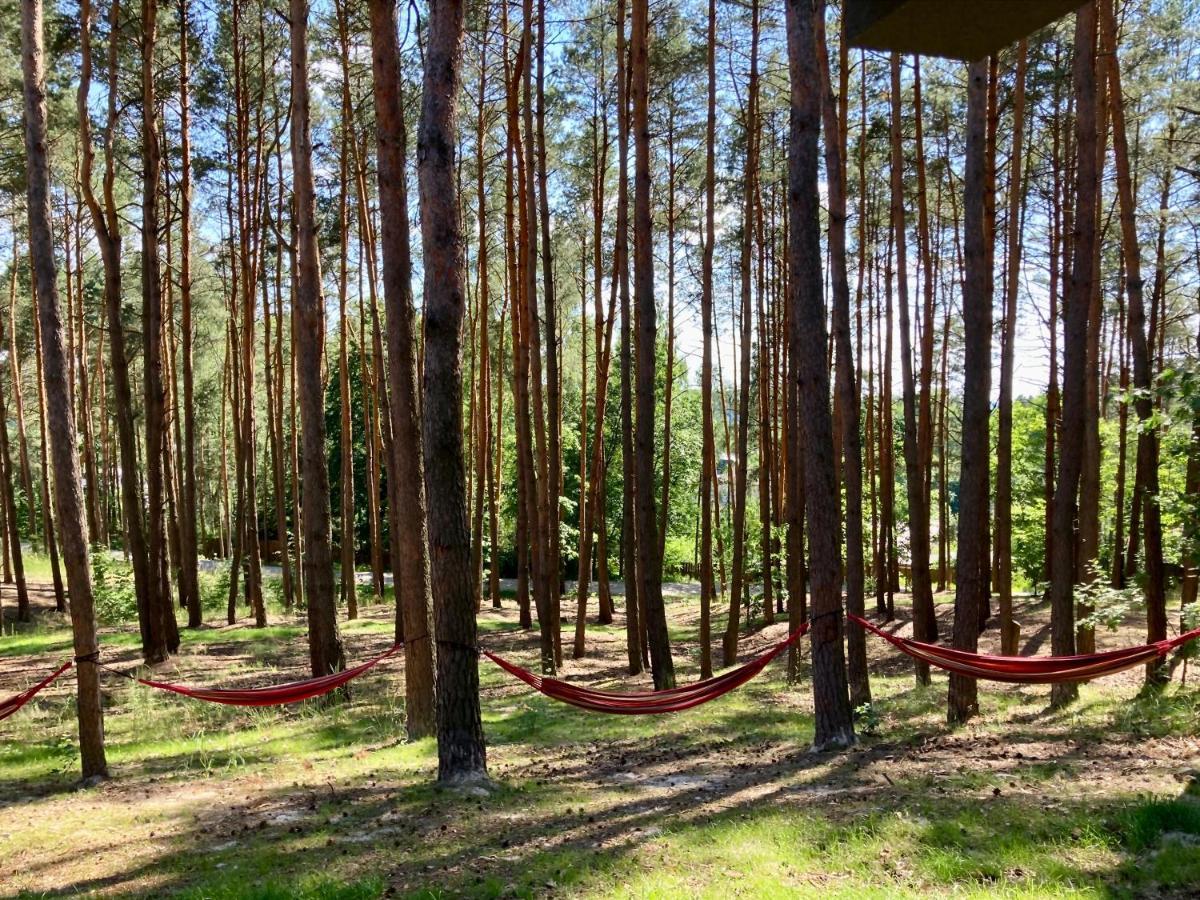 Gora Spokoju Osada Klimatyczna-Lesna Inowlodz Exteriör bild
