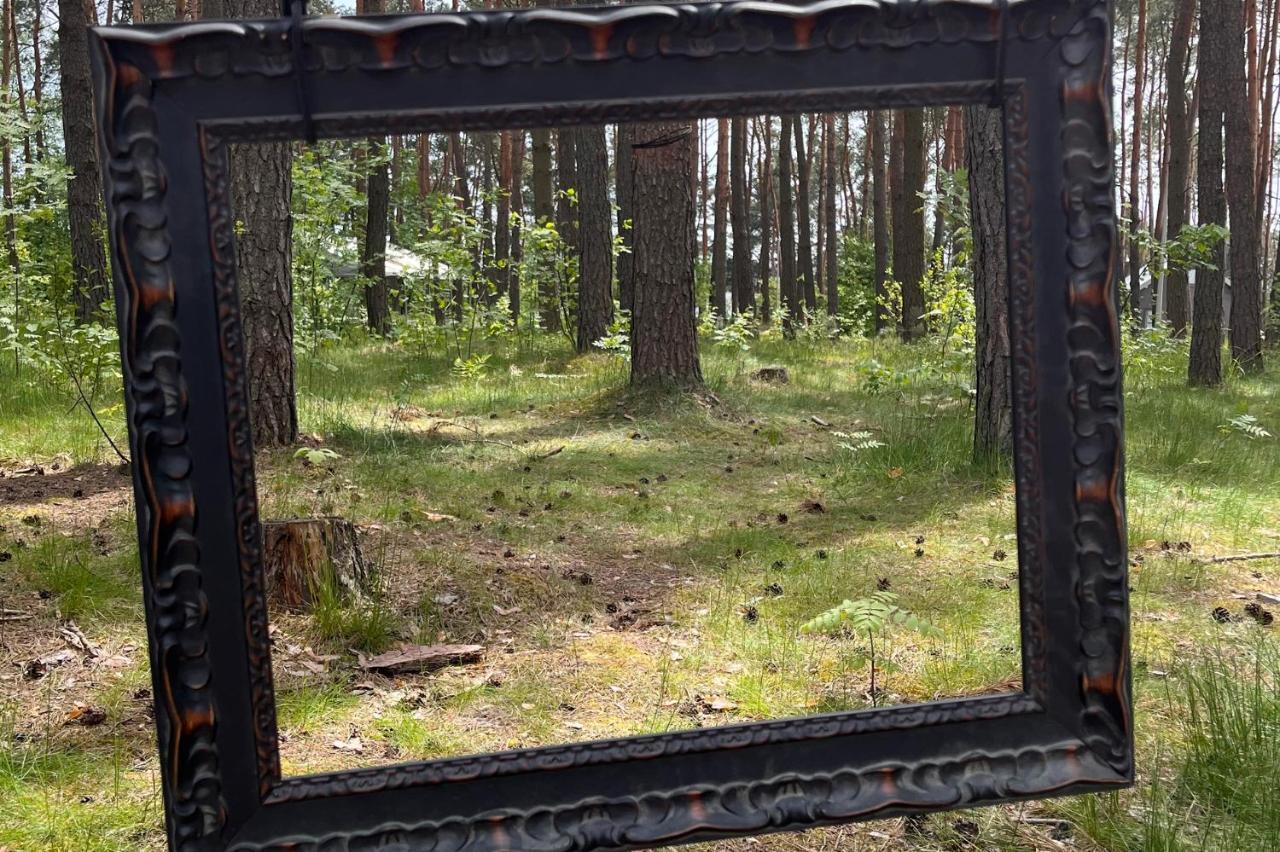 Gora Spokoju Osada Klimatyczna-Lesna Inowlodz Exteriör bild